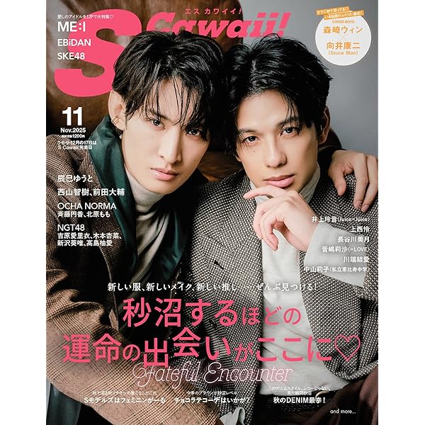 リビングの松永さん　未開封DVD-BOX　中島健人　　高橋ひかる　向井康二 中島健人がドラマ「リビングの松永さん」で主演、ヒロイン・高橋
